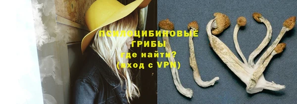 таблы Богданович