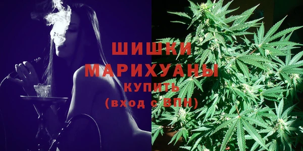 таблы Богданович