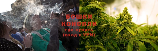 ГАЛЛЮЦИНОГЕННЫЕ ГРИБЫ Богородицк