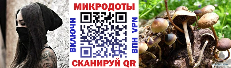 Галлюциногенные грибы Magic Shrooms Пионерский