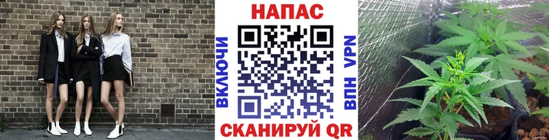 Марихуана Ganja Пионерский